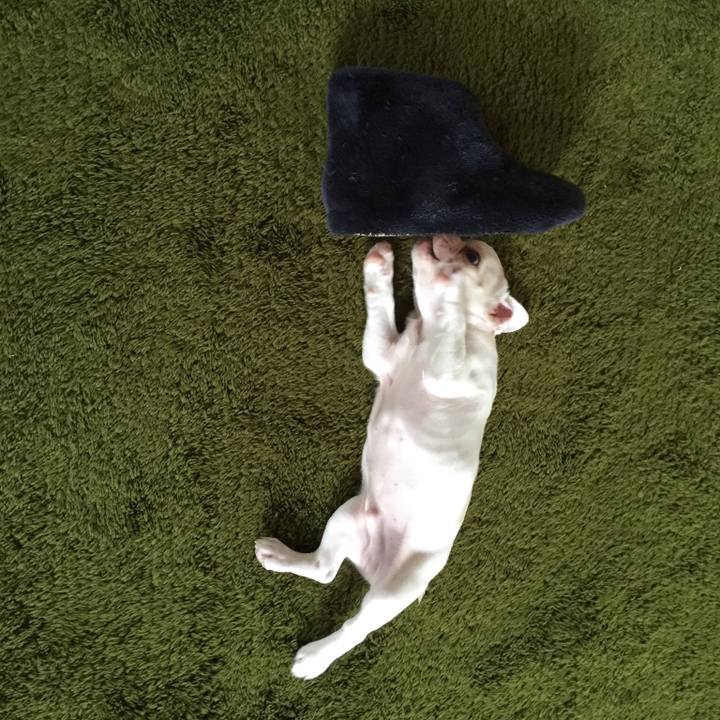 7d409a32 5653 4cbf a80a a84a33c42a2b