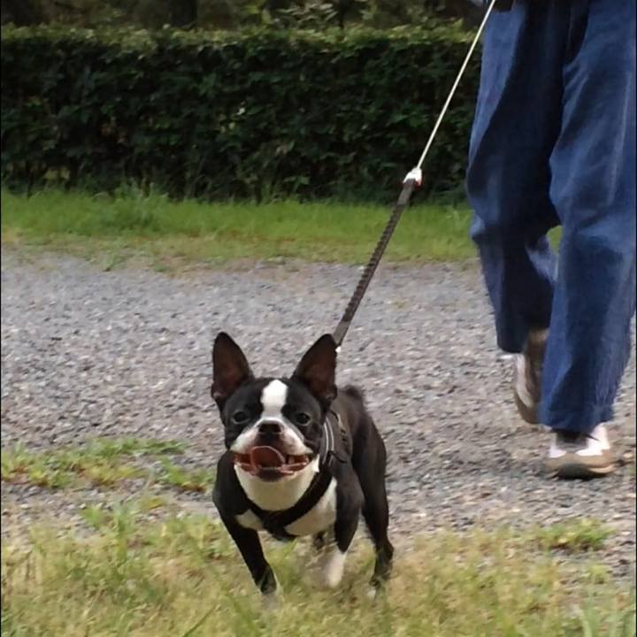 7d417e4e 08d7 4627 941b 6bcd8137939a