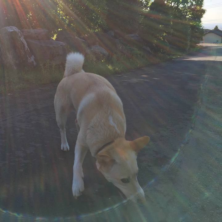 7d418d51 d987 4d9f b2bf bebdfc1e073f