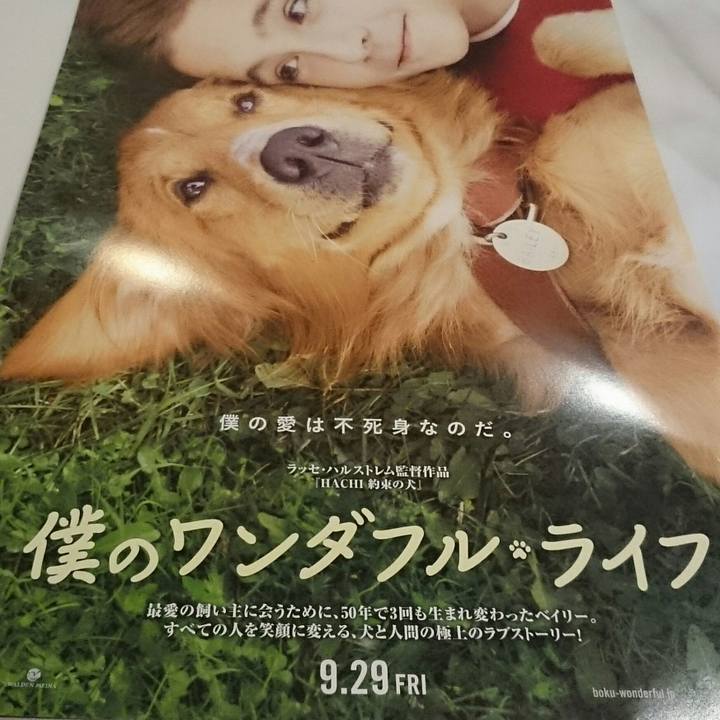 7d41d13c 1ec7 4cf3 a17e 94e5dbf3a6c7