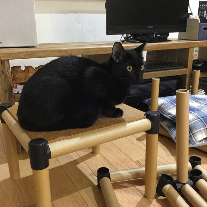 7d41e71c 01a0 4a32 ae5b cca1c72f5d3c