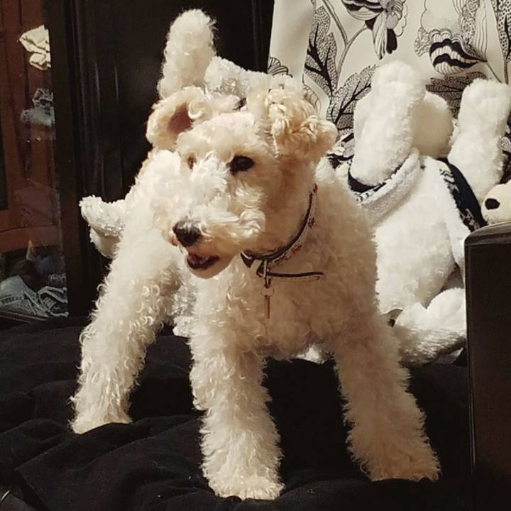 7d42108b 9476 48d1 b3d4 5a18ee395693