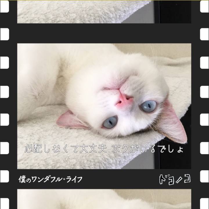 7d4310f3 4db2 4761 a0d8 8dd4319a85ec