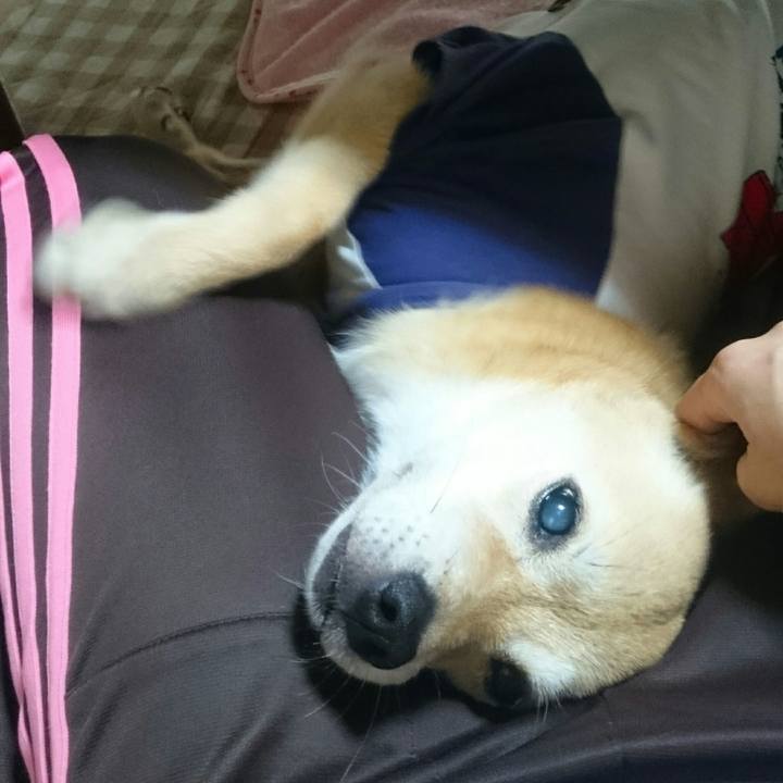 7d4362e2 5f9b 4519 8818 6c7714104046