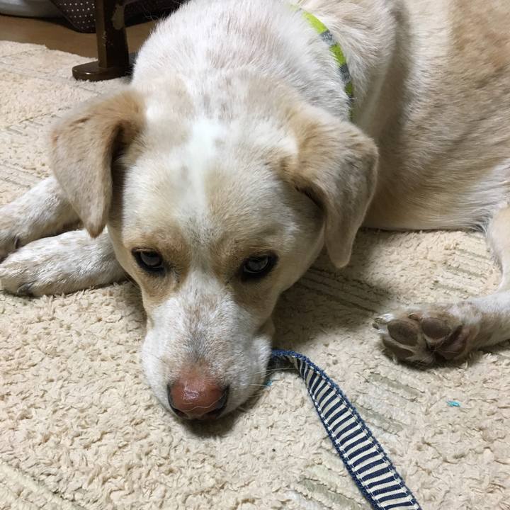 7d436cf5 b970 4635 837d 0c4ac5c818c4