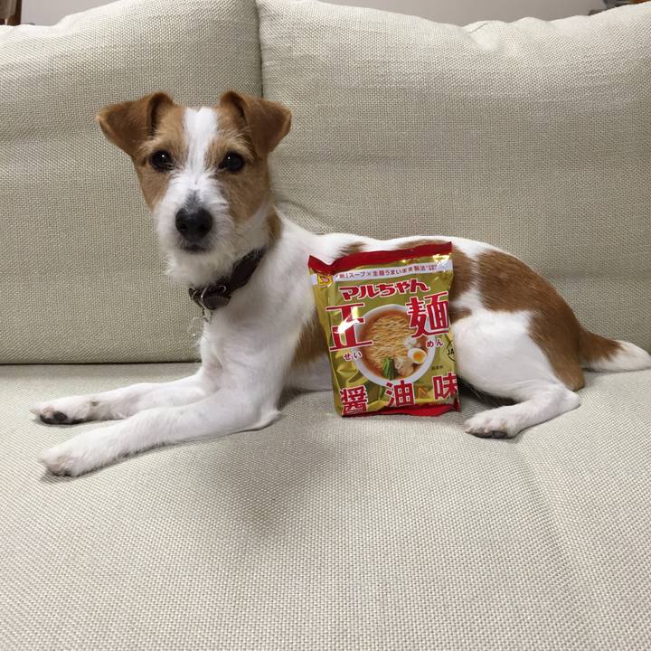 7d43a0b7 9f64 4631 899a 4f01462fadd4