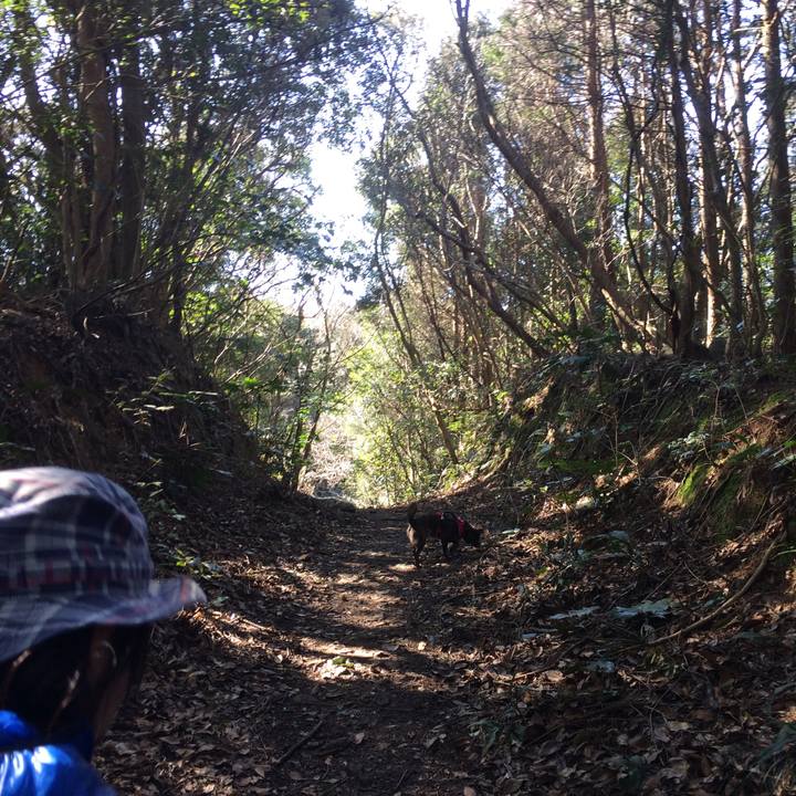 7d43a3cb 34fd 49e8 a046 7a999a5bcbfa