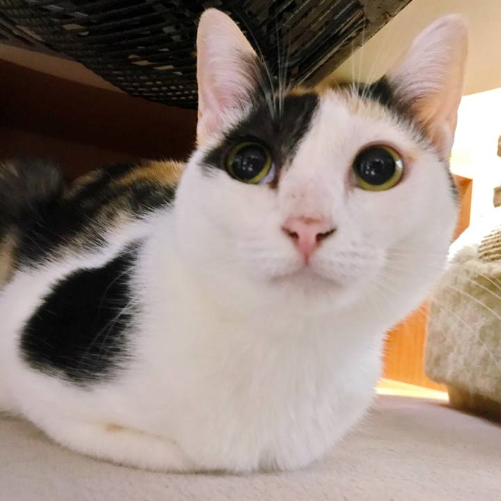 7d43ce17 89f8 4e4f bf3a 9927bdf8fbc5