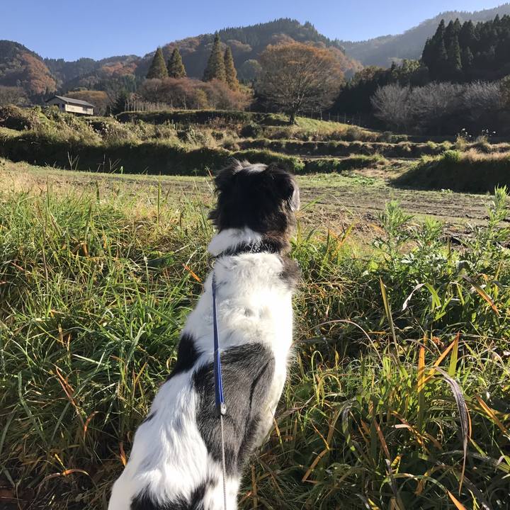 7d446365 ddf8 4b95 9038 0179fd85cda5