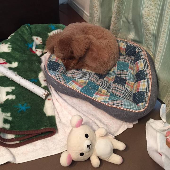 7d4463de e138 43db b208 97c2395c9b60