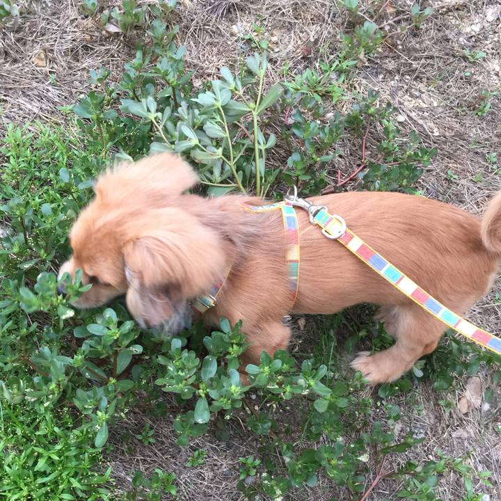 7d44c92d bff5 4104 8527 aecbc103283e