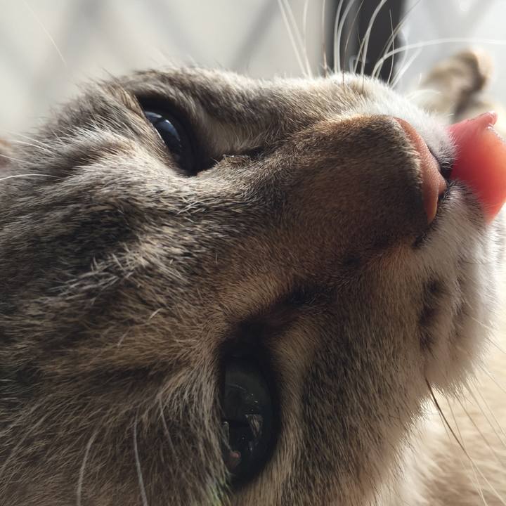 7d454417 704d 4db2 96e9 bac9e847a9a1