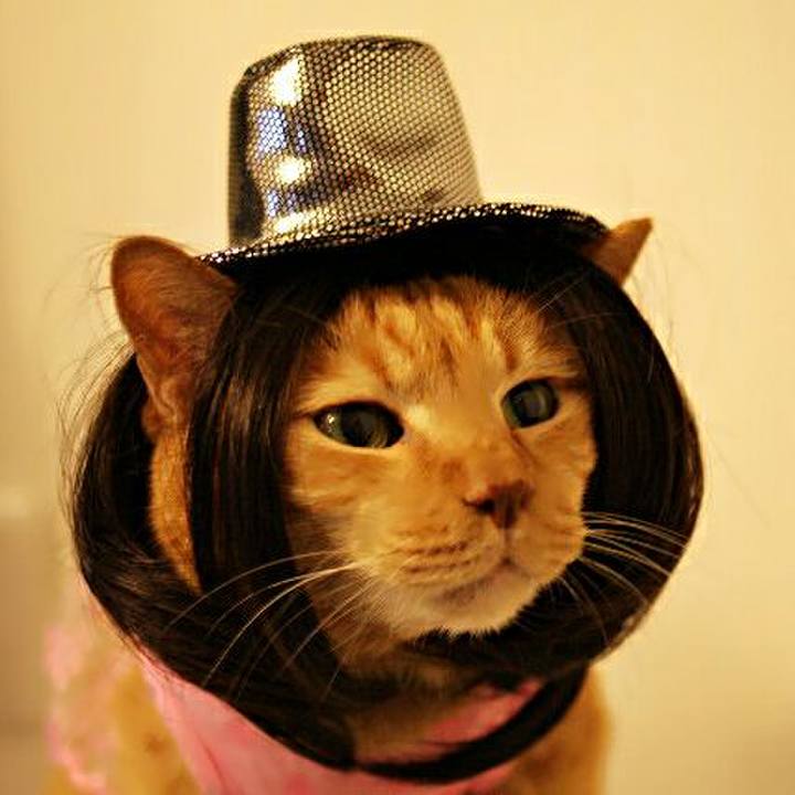 7d454425 9bf9 4c63 a4b4 43a66bd37f03