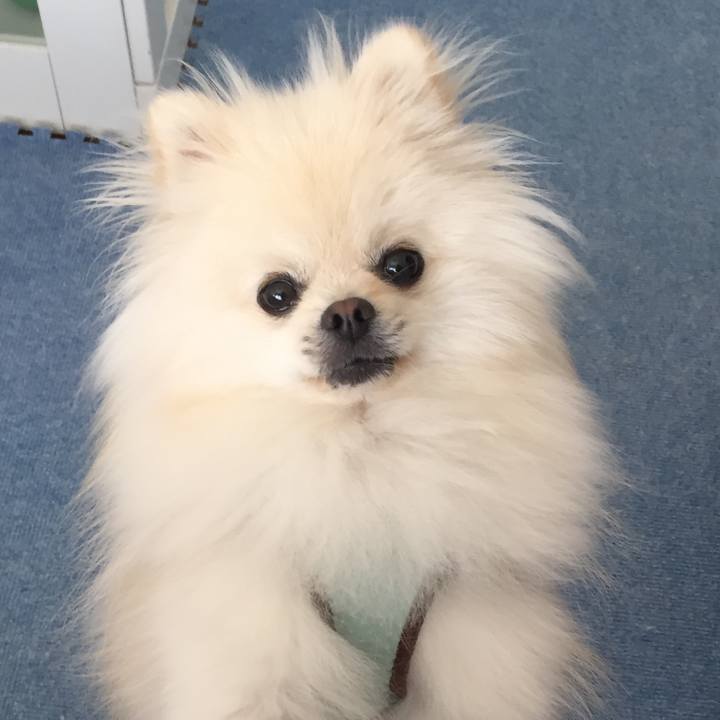 7d457999 155a 45b8 b239 c0100370a3a0