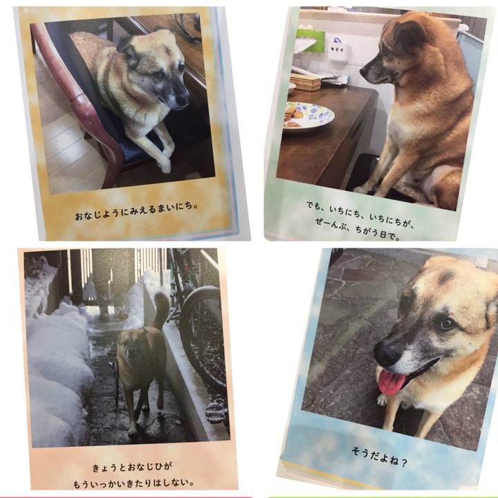 7d460b84 df58 4e45 9ed6 619cd669b99d