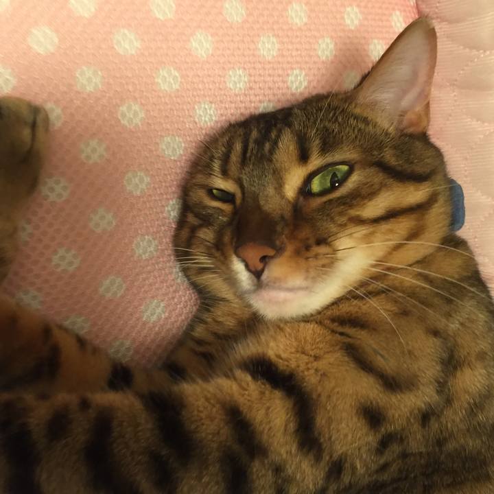 7d460cd7 fa93 4e55 b85c 9b21e8f4b39c