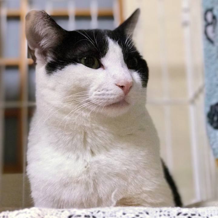 7d46156d 26b3 4fbe ad0f eb17e0f0f91d