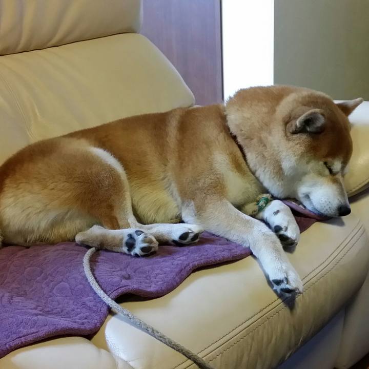 7d46f3c1 8ae6 475f 99e3 fe76a667d388