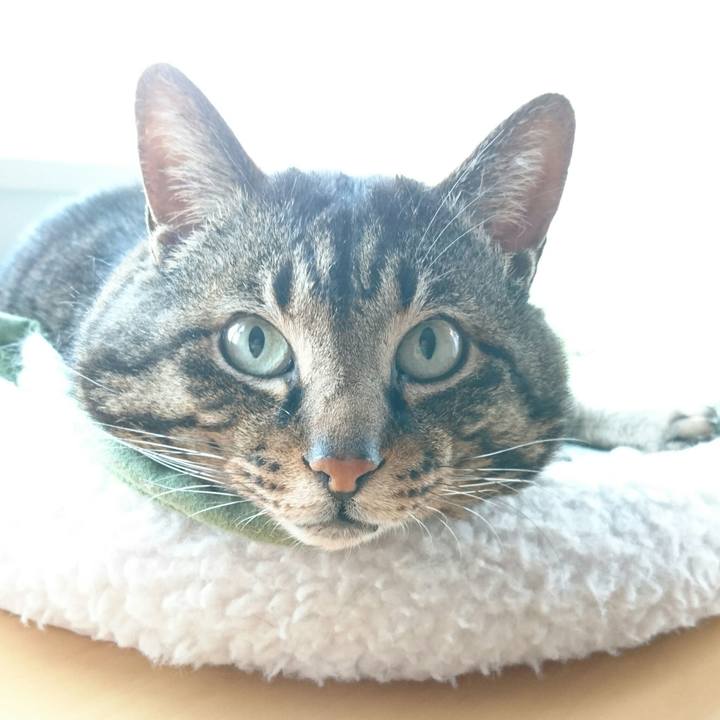 7d476e8f 4cff 43a4 9bf6 fdf102ca9898