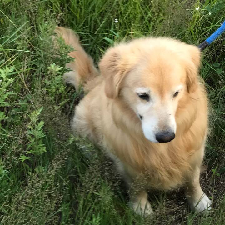 7d47bb5e 72b7 4dbb 9cc1 efe319f19786