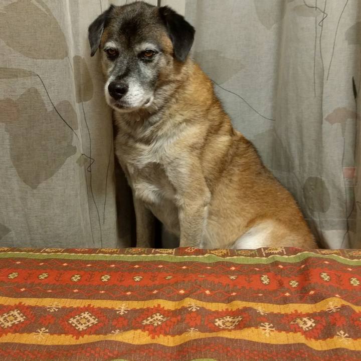 7d4814e2 7dd6 4272 a45b 4c8e7970926b