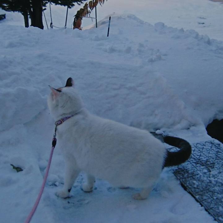 7d492052 2e71 48d9 a8d2 e3d4035be43e