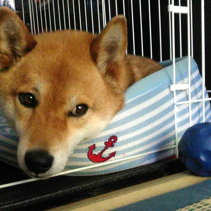 7d493d50 2820 4702 abeb e6b02634678c