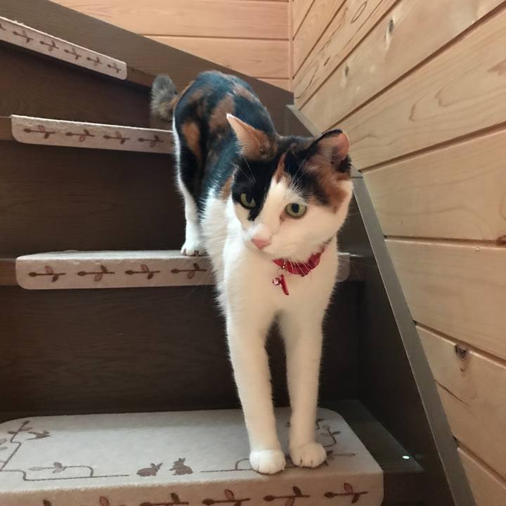 7d49623e d3a0 44dc b9fa 4a018286f90b