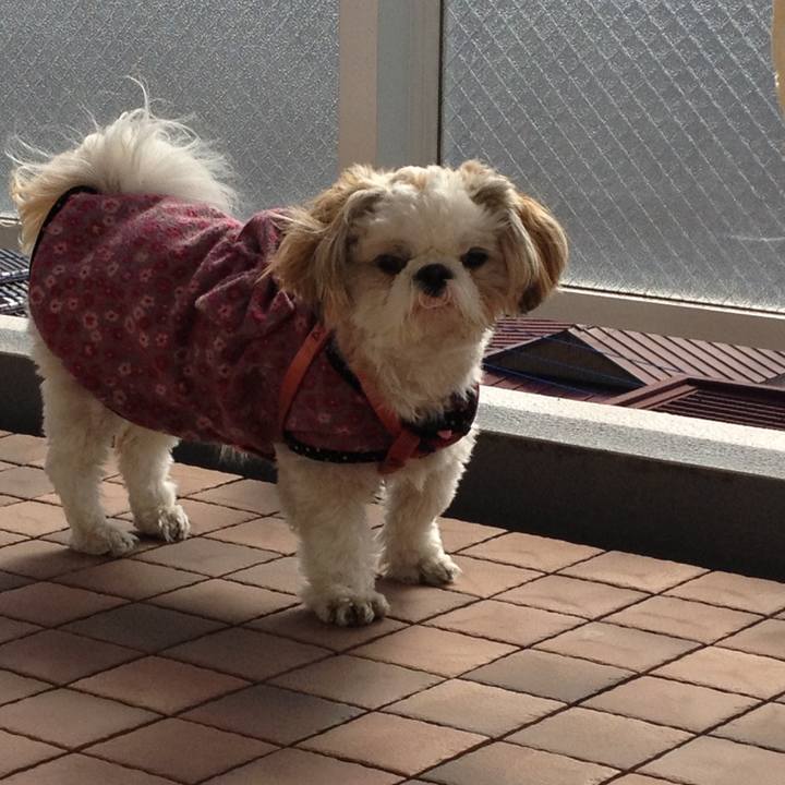 7d499243 3af2 43fb 846d 25af511018bd