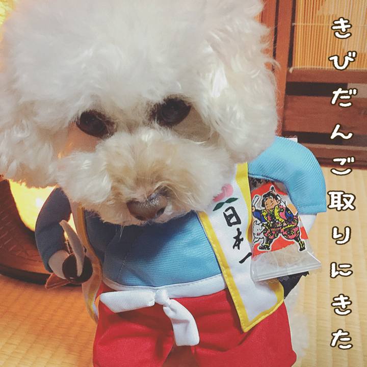 7d4ad48f 2fc5 43e8 a4d9 65539945ecf4