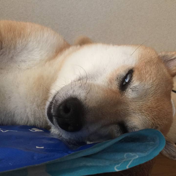 7d4ae2ad 380b 48d0 b81e 036bc0025b53