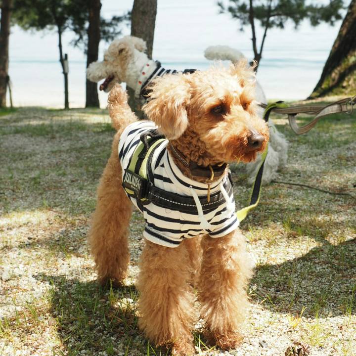 7d4b9890 be9a 4097 9997 1ed256db49ba