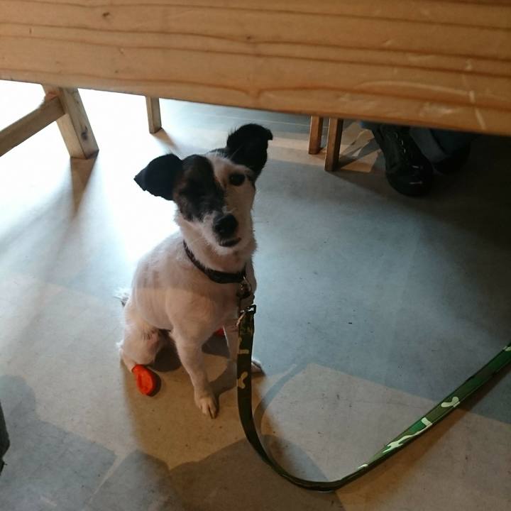 7d4c2982 4e56 4126 aa5d e939674828da