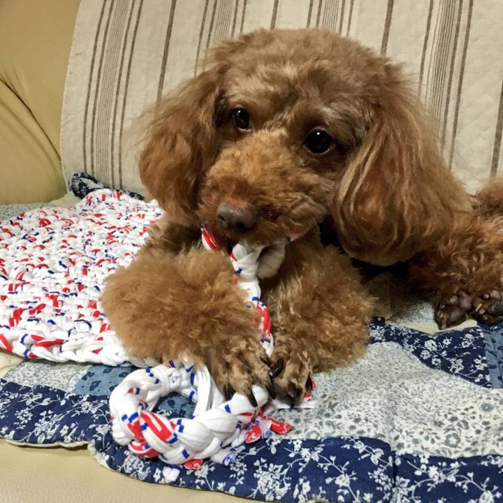 7d4c2eb2 8173 4876 a6f9 35e0b8bab36d