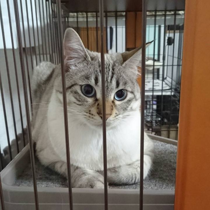 7d4cf9f5 6f60 4160 9f45 57672f7a339e