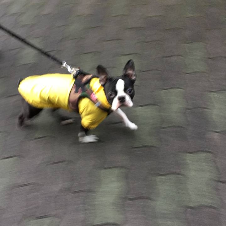 7d4e16d8 b8a2 4fb2 acf9 3b9f750bbabf