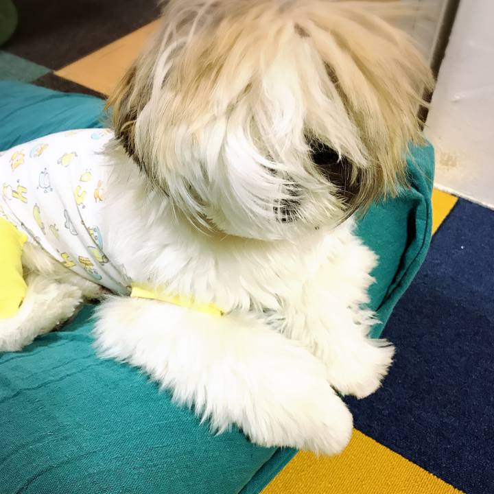 7d4e6930 1485 4e08 80ba aa64356afd84