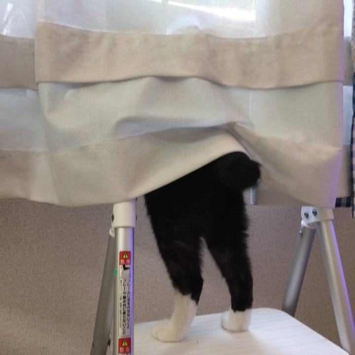 7d4ed421 0519 4a13 ad2f 747d8371b42c