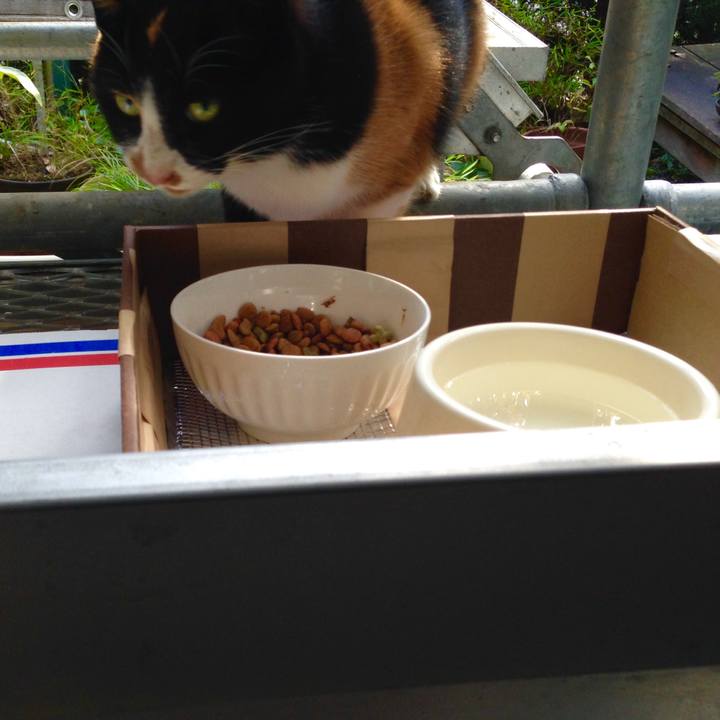 7d4ede9a ac51 411e 9a7f 0980385db063