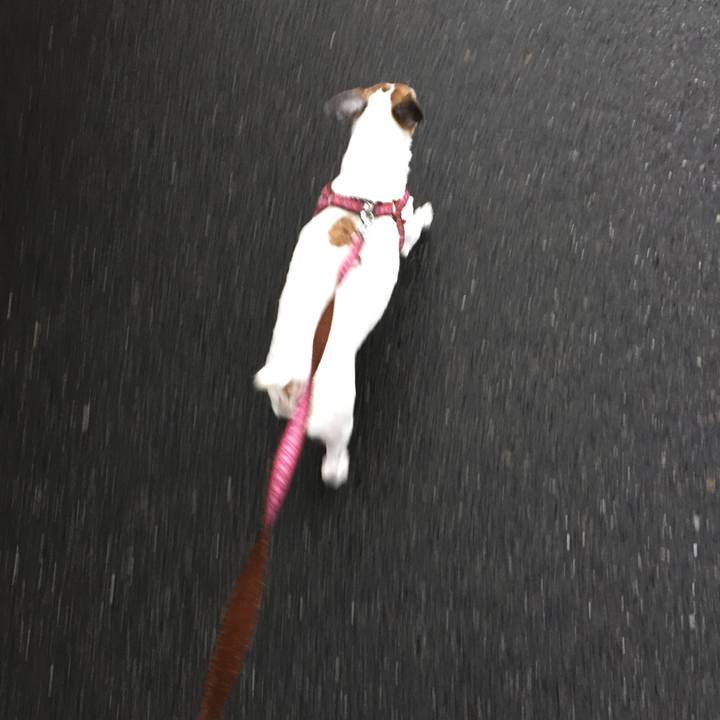 7d4f22a6 17aa 4935 aa72 1f23e52d305f