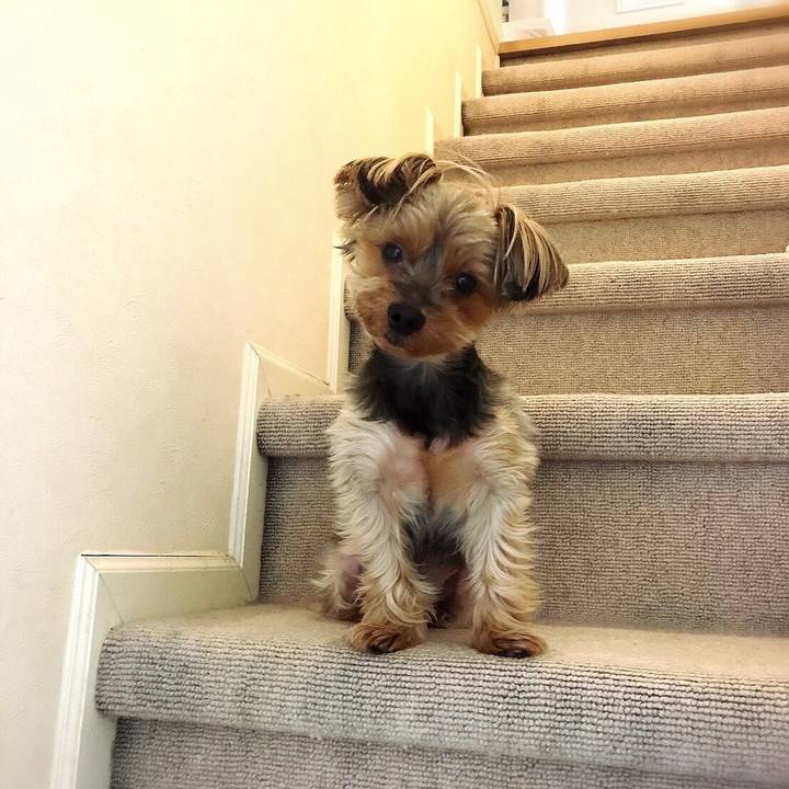 7d505595 fb30 406e 8f4a fe76099e0ec2