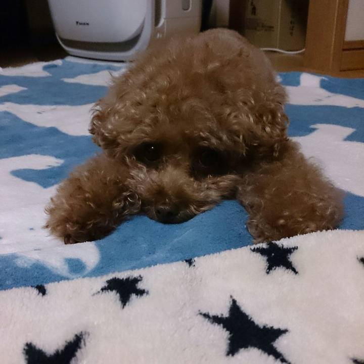 7d505637 3f5b 4e39 a7af 4172133a308a