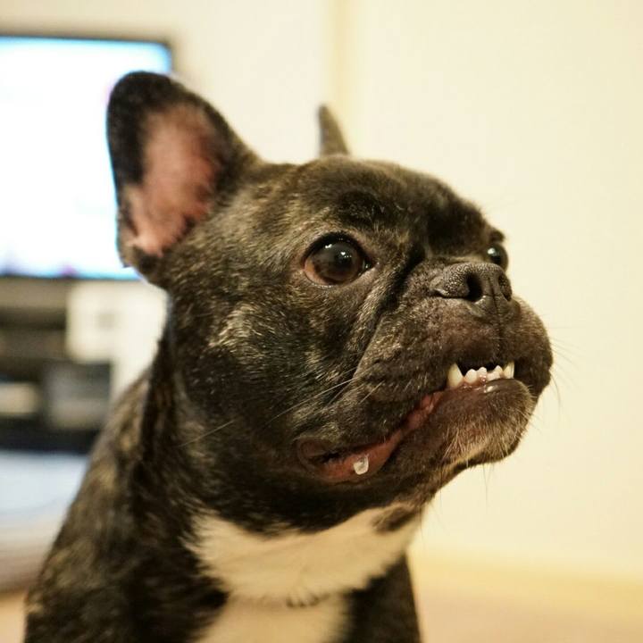 7d505b5e 22a7 41d0 807a 727680d1c2fb