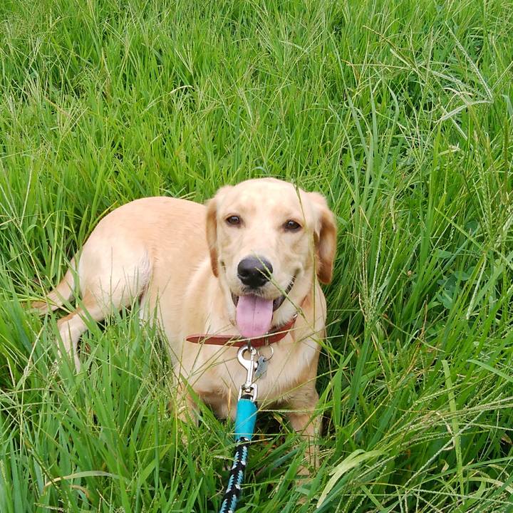 7d51a14a 409f 4bf3 ba5a 54b1339aceda