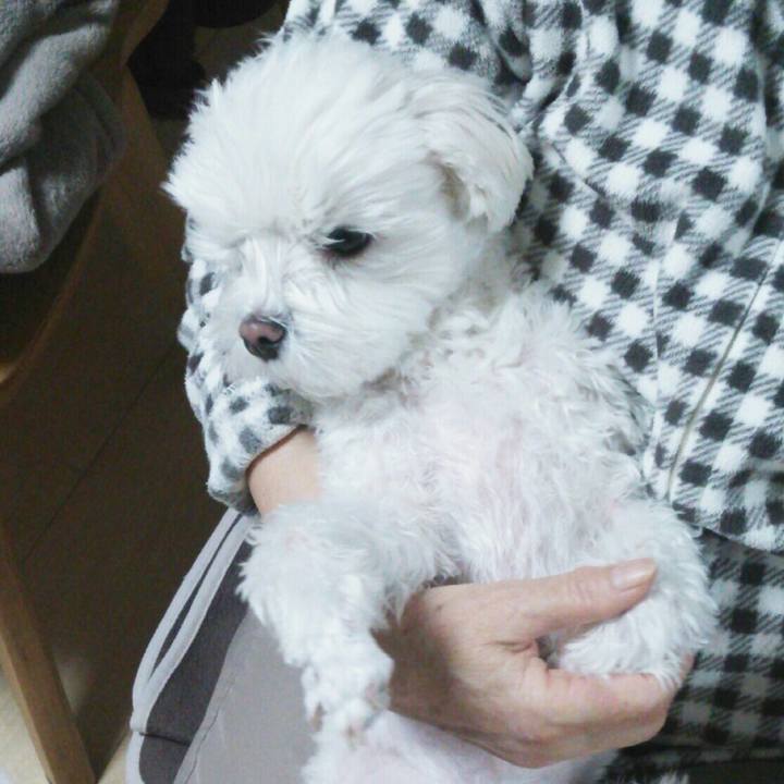 7d51d4e2 84c9 48c8 92aa 0424b374046a