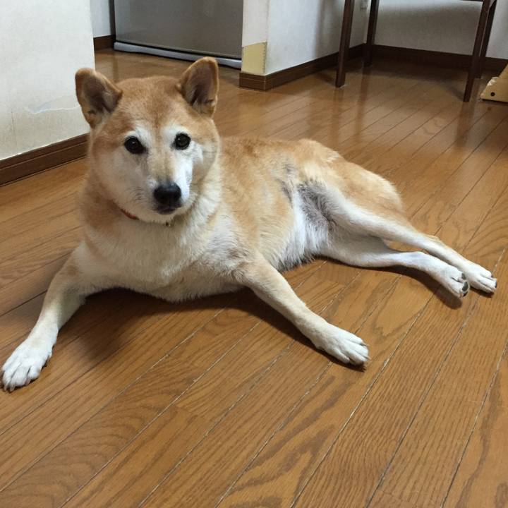 7d51ed65 7af7 40cb 9e18 5ced0122da1c