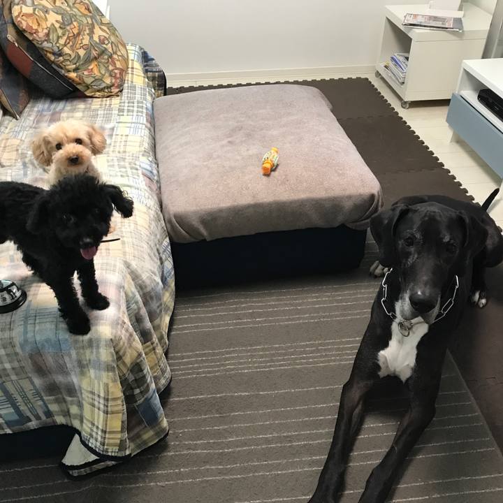 7d520fab c6d1 40b0 a6c9 605f8bb6229c