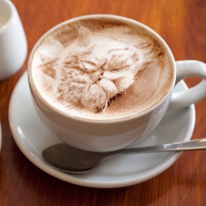 7d521612 9787 43a3 9456 e7ee2f0a34b9