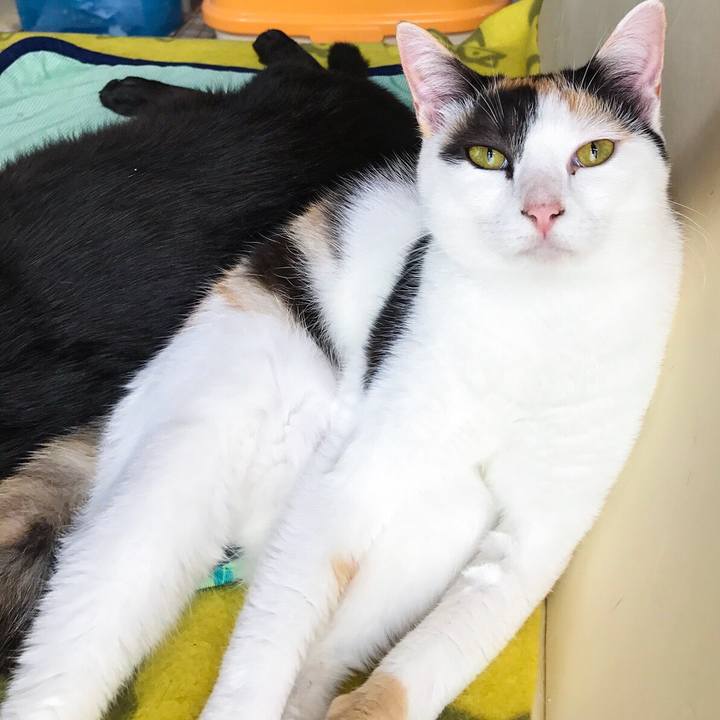 7d52bb40 5065 4500 9930 b803d353493a