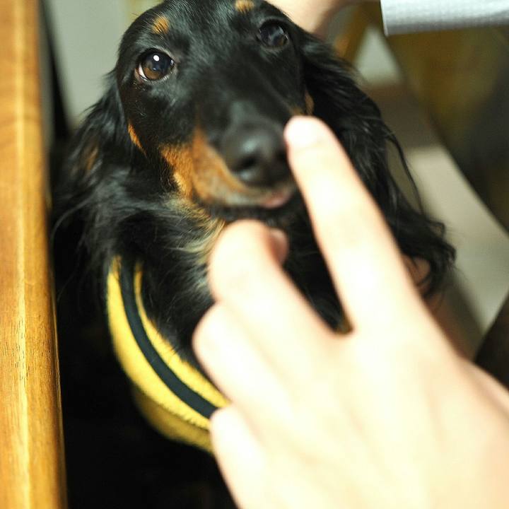 7d53369f 3649 430c b890 ff7e11ef46cc